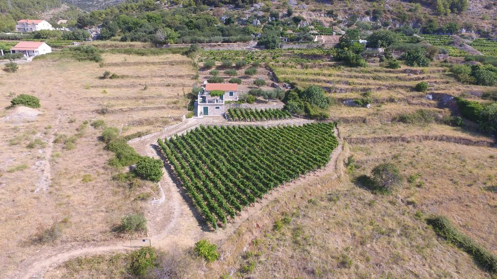Holiday Home Vineyard House โบล ภายนอก รูปภาพ