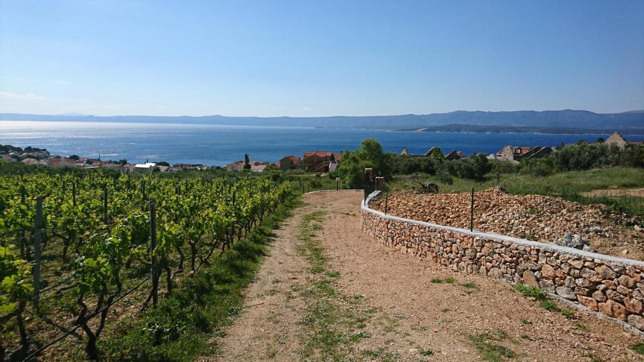 Holiday Home Vineyard House โบล ภายนอก รูปภาพ